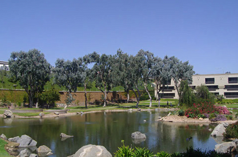 Rancho Bernardo Dentist  Dentist in Rancho bernardo
