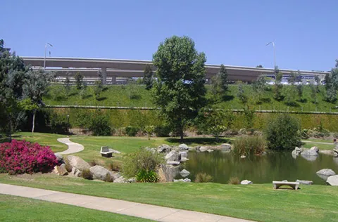 Dentist in Rancho Bernardo